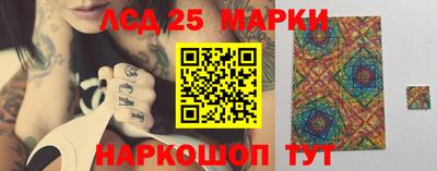 амфетамин Гатчина