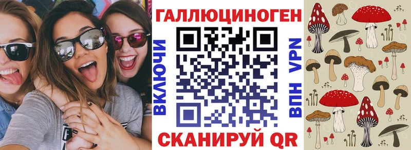 Псилоцибиновые грибы мицелий  как найти закладки  Новоалтайск 
