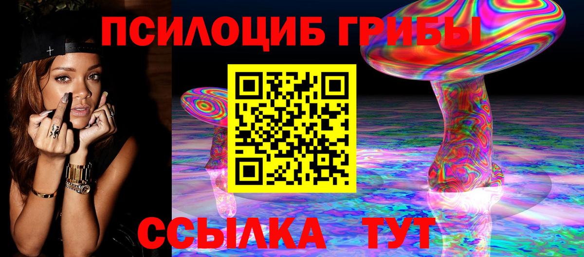 Галлюциногенные грибы Psilocybe Новоалтайск