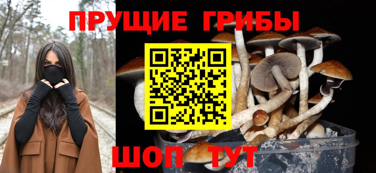 Новоалтайск  ГАШ  Вход с VPN  Метадон  Канабис  АМФ   Меф МЯУ МЯУ   МДМА 