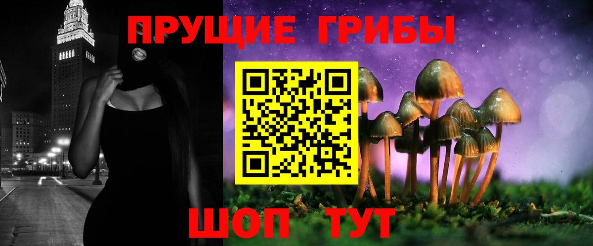 Галлюциногенные грибы Magic Shrooms  Галлюциногенные грибы ЛСД  Вход с VPN  Новоалтайск 